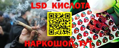 ГАЛЛЮЦИНОГЕННЫЕ ГРИБЫ Кунгур