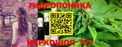 гидропоника Кулебаки