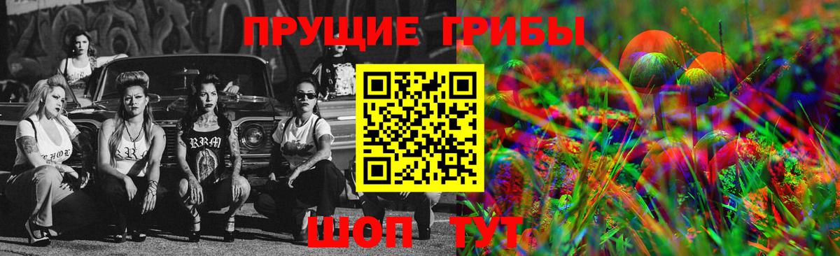 Псилоцибиновые грибы MAGIC MUSHROOMS  Вход с VPN  Канаш 